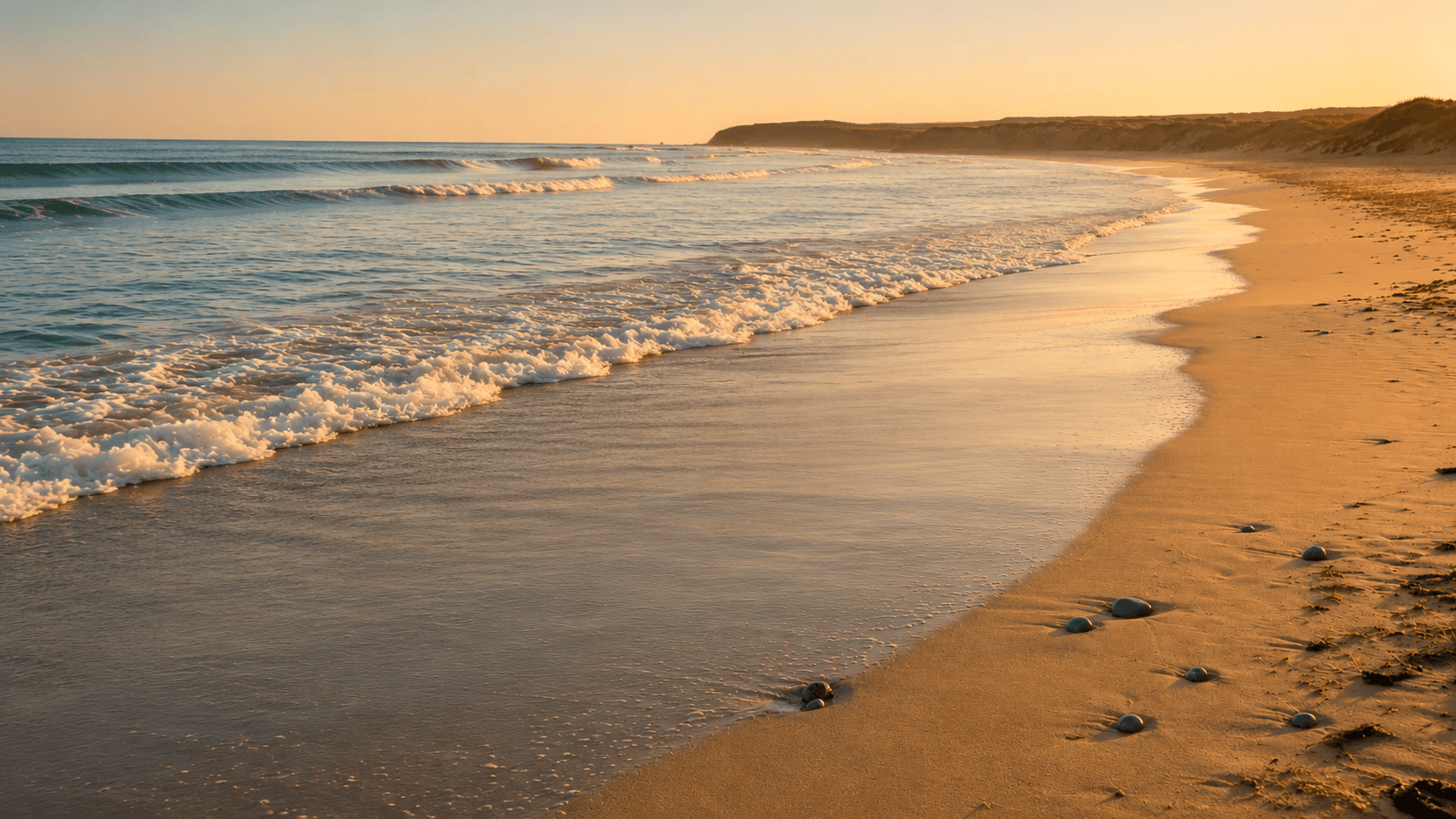 Golden sunset light reflects on gentle ocean waves washing onto a wide, sandy beach.